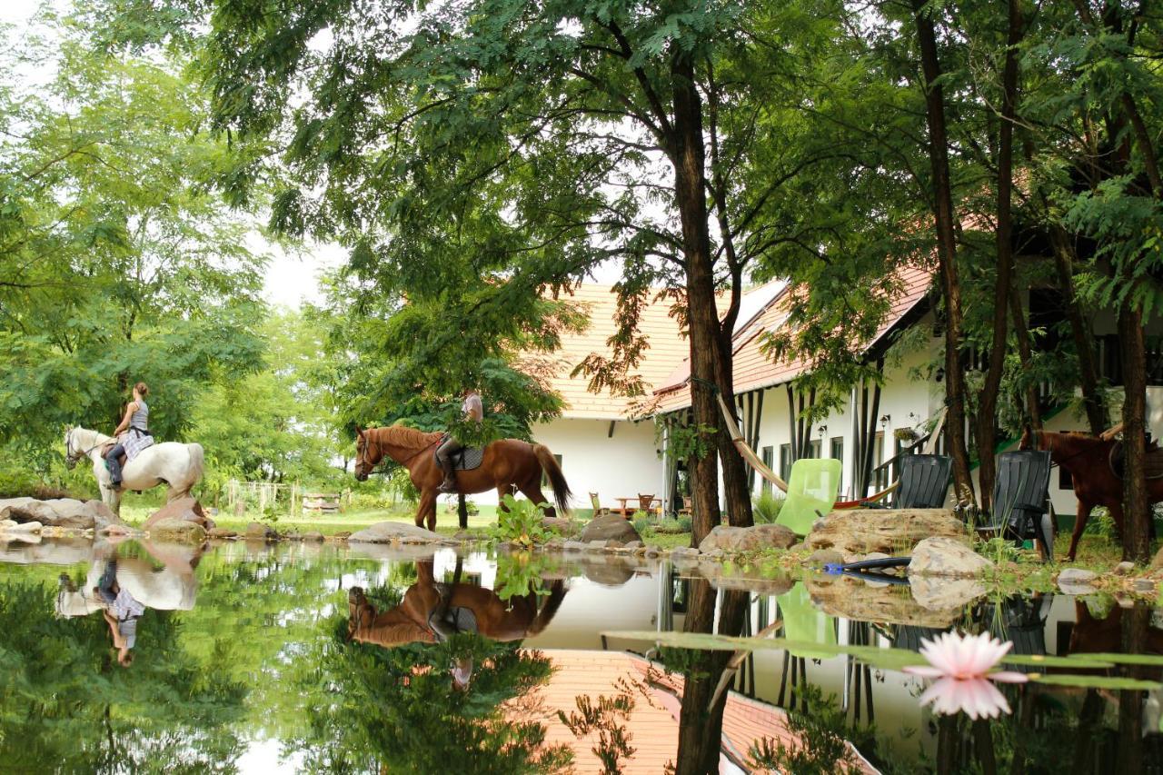 Hotel Hunor Lovastanya Kunbaracs Zewnętrze zdjęcie