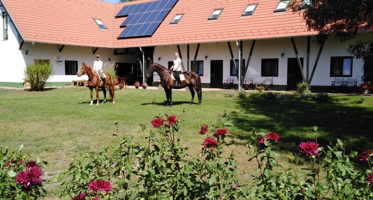 Hotel Hunor Lovastanya Kunbaracs Zewnętrze zdjęcie